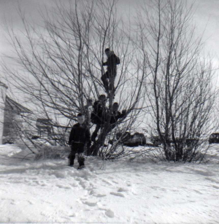 Image 66